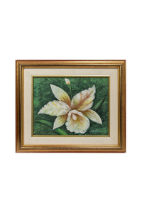 Product Πίνακας Ζωγραφικής Σε Καμβά Με Κορνίζα 35x30cm "Λευκό Λουλούδι" base image