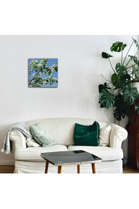 Product Πίνακας Με Εκτύπωση Σε Καμβά 40x40cm "Λευκά Λουλούδια" base image