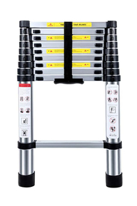 Product Telescopic Aluminium Ladder 9+1 Magnem base image