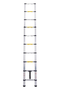 Product Σκάλα Τηλεσκοπική Αλουμινίου 9+1 Prostep PS1533 base image