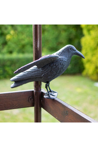 Product Bird Repeller Crow Martom TG60296 base image