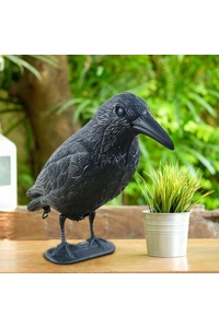 Product Bird Repeller Crow Martom TG60297 base image