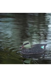 Product Garden Ornament "Duck" Martom TG71079 base image