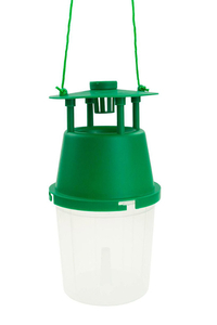 Product Insect Trap Martom TG71388 base image