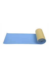 Product Car Door Protective Strip 20x200cm ProPlus 420154 base image