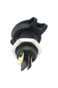 Product Πρίζα Αναπτήρα Αυτοκινήτου DIN 12V/24V 16A ProPlus 450404 base image