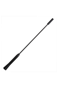 Product Κεραία Αυτοκινήτου ProPlus 760764 base image