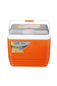 Product 25Lt Orange Cool Box Primero Pinnacle base image