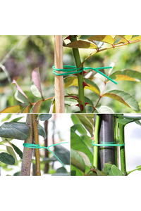 Product Twist Tie With Cutter 100m Inter base image