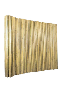 Product Καλαμωτή Ολόκληρο Καλάμι Μπαμπού 2x3m Sidirela base image