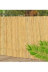 Product Καλαμωτή Ολόκληρο Καλάμι Μπαμπού 2x3m Sidirela base image