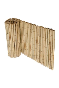 Product Καλαμωτή Ολόκληρο Καλάμι Μπαμπού 2x3m Sidirela base image