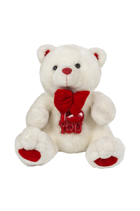 Product Λούτρινο Αρκουδάκι Με Φωτιζόμενο "I LOVE YOU" 29cm base image