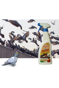 Product Pigeon Repellent Spray Rhutten Via Piccioni 750ml base image