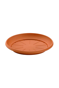Product Πιάτο Στρόγγυλο Festone Τερακότα base image