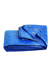 Product General Purpose Tarpaulin 85gr 6x10m base image