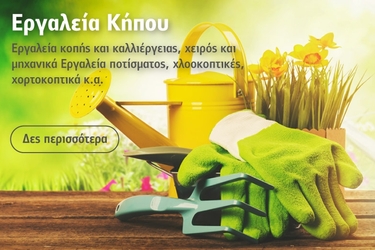 Homepage slider image